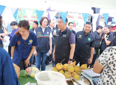 “รมช.เกษตร” ปักหมุดตลาดเกษตรกรเชียงราย หนุนบริโภคผลไม้ไทย ... พารามิเตอร์รูปภาพ 19